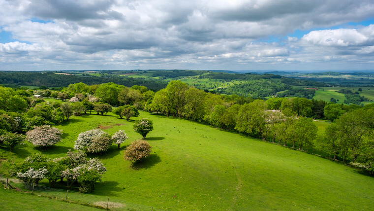 UK May '22 - On the Road (to Oxford) 010.jpg